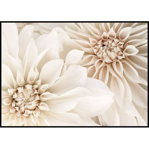 Pair Of Dahlias Poster Wall Art, Modern Wall Decor For Living Room Bedroom, 8x12 UNFRAMED