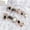 KDZ538-B5 electronic sound meow meow [cardboard jelly glue], variant on sub-code 10 pieces of star earphones nail stickers, cute cartoon cat nail art tablets, phototherapy handmade nail wear