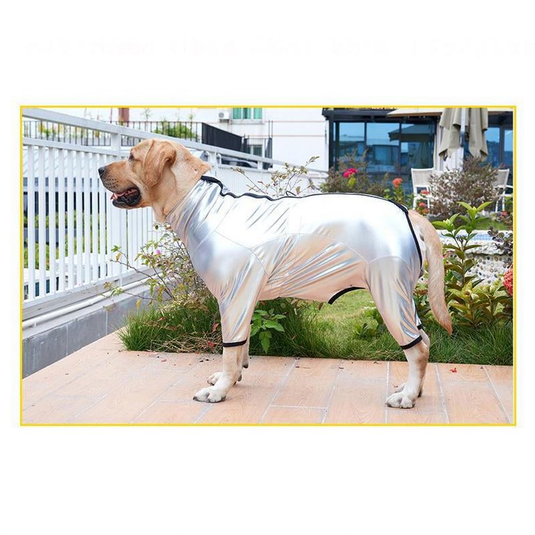 Dog 2025 waterproof suit