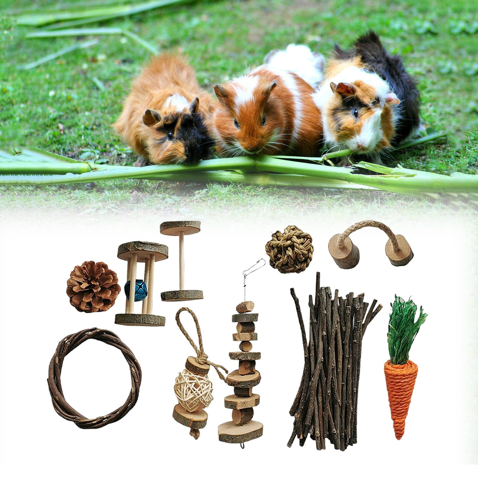 Fzaqwen Wooden Hamster Rabbit Chew Toys Set Corn Carrot Woven Balls Hamster Toys Set for H