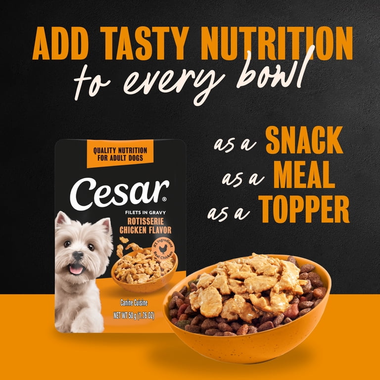Cesar Filets in Gravy Variety Pack Wet Dog Food, 40 Mini-Pouches photo 4