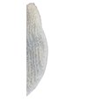 thumbnail image 2 of Oreck Commercial 437.053 Carpet Bonnet Pad, 12-Inch Diameter for 550MC Orbiter Floor Machine, 2 of 3