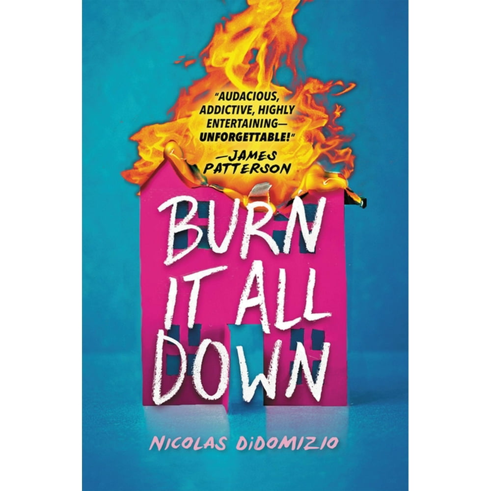 Burn It All Down (Hardcover)