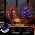 thumbnail image 3 of [ ] Halloween Tree FT Spooky Trees with LED Purple Lights Bats Battery Operated Small Tabletop Twig Centerpiece Tree with Timer for Halloween Decorations Indoor, 3 of 9