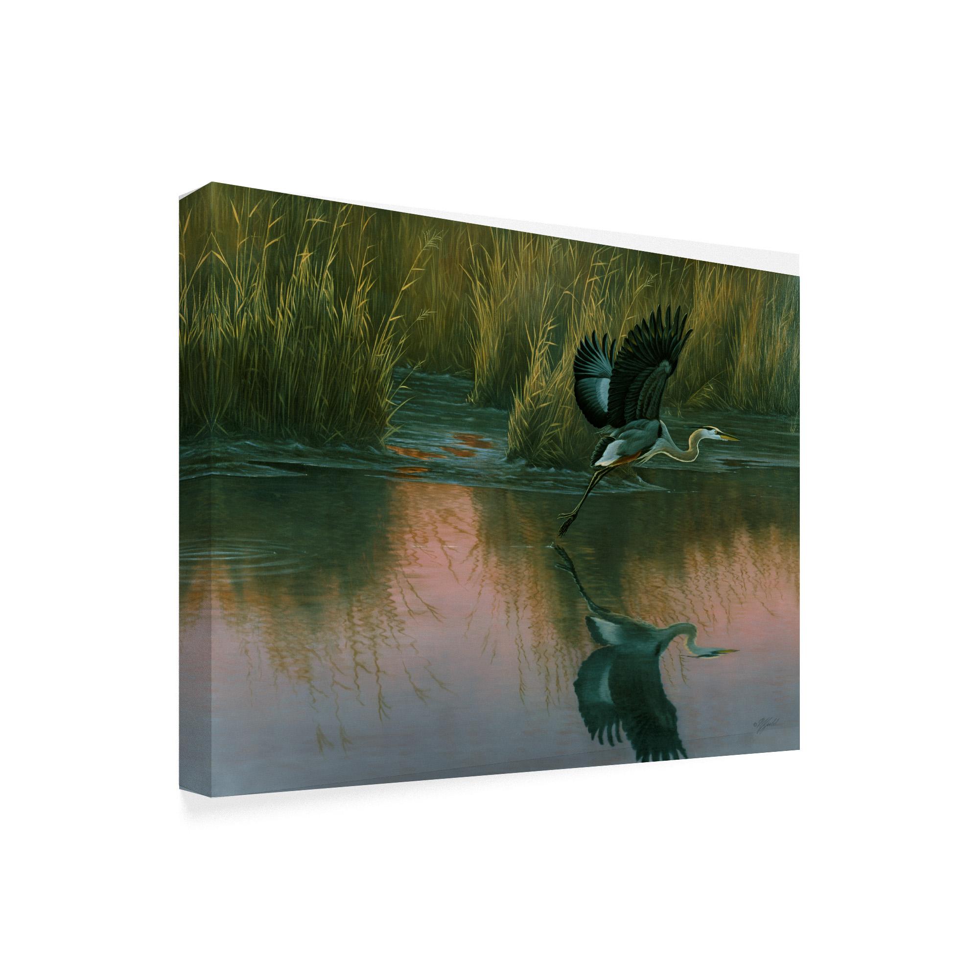 Trademark Fine Art 'Evening Flight Great Blue Heron' Canvas Art by Wilhelm Goebel