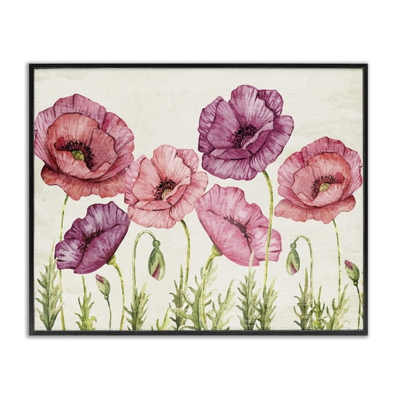 Stupell Industries Poppy Days Vintage Blooms Black Framed Giclee Art, design by Kim Allen
