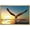 NATURAL, variant on wall26 - Framed Canvas Prints Wall Art - Bald Eagle Flying Above The Sea | Modern Wall Decor/Home Decoration Stretched Gallery Framed Canvas Wrap Giclee Print. Ready to Hang - 16"x24" White