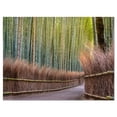 thumbnail image 2 of Pathway Inside Bamboo Forest - Forest Canvas Wall Art Print, 2 of 3