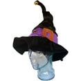 thumbnail image 3 of Musical Animated Witch Hat - Costume Accessories - Plays Music - Sound and Motion, 3 of 3