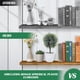 thumbnail image 5 of Planta esférica falsa para decoración de ventanas de interior, plantas artificiales de plástico en maceta para escritorio., 5 of 5