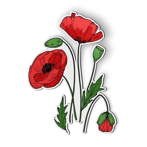 Red Poppies Wildflowers - 5" Magnet for Car Locker Refrigerator