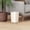 1 Pack-No Lid-Beige, variant on Small Bathroom Trash Can, 2.6 Gallon Slim Mini Garbage Bin, Plastic Waste Basket for Dorm Room, Bedroom, Office, Toilet, Compact & Space-Saving Design, Black
