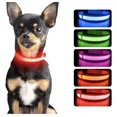 thumbnail image 1 of Collar Luz Led Para Perros Y Gatos Paseo Nocturno Seguro, 1 of 1