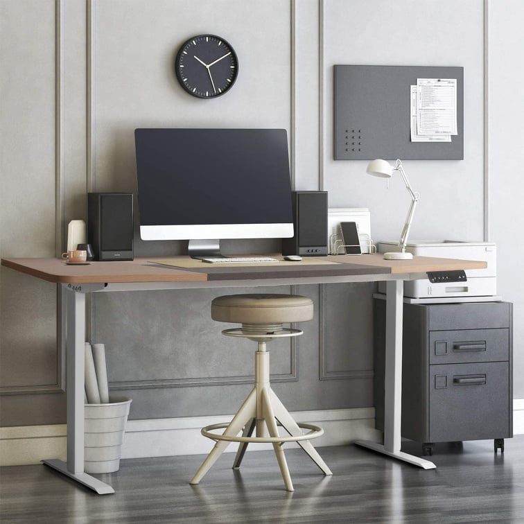 Standing Desk for Home Office, Adjustable Height Desk, 48 x 24 inch Capon Sitting and Standing Dual Motorized Gaming Desk, One Piece Top Electric Stand Up Desk, Natural