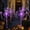 PURPLE, variant on LOMYOLO Halloween Solar Pathway Lights Outdoor, 2 Pack Bat Landscape Path Lights with 8 Lighting Modes, Purple/Red LED Solar Garden Stake Lights for Yard Lawn Walkway Porch Halloween Decorations