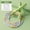 Green, variant on Bamboo Joint Skipping Rope for Kids Kindergarten and Primary School Students Educational Jump Rope Outdoor Indoor Sports Training Equipment