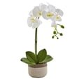 thumbnail image 1 of Nearly Natural 4569 Phalaenopsis Orchid in Ceramic Pot, 1 of 3