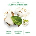 thumbnail image 4 of Herbal Essences Bio:Renew Hydrate Conditioner, Coconut Milk 13.5 oz (Pack of 2), 4 of 5