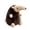 Brown, variant on Pastel Color Round Anteater Plush Toy, Cute Long Snout Animal Stuffed Doll, Creative Birthday Holiday Gift for Collectors