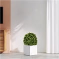 thumbnail image 6 of JERFIT 22 Inch Artificial Boxwood Topiary Ball Trees (2-Pack) Realistic Faux Greenery for Outdoor & Indoor Decor, UV Resistant, in Black Planter, 6 of 9