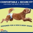 thumbnail image 3 of Pañales desechables para perros Hartz Comfitables XXS 42 unidades, 3 of 9