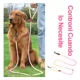 thumbnail image 5 of Correa Larga De Perros Cuerda Seguridad Para Entrenamiento, 5 of 7