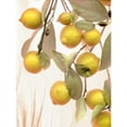 thumbnail image 3 of Blaustein, Alan 15x18 Black Modern Framed Museum Art Print Titled - Lemons - 1, 3 of 5