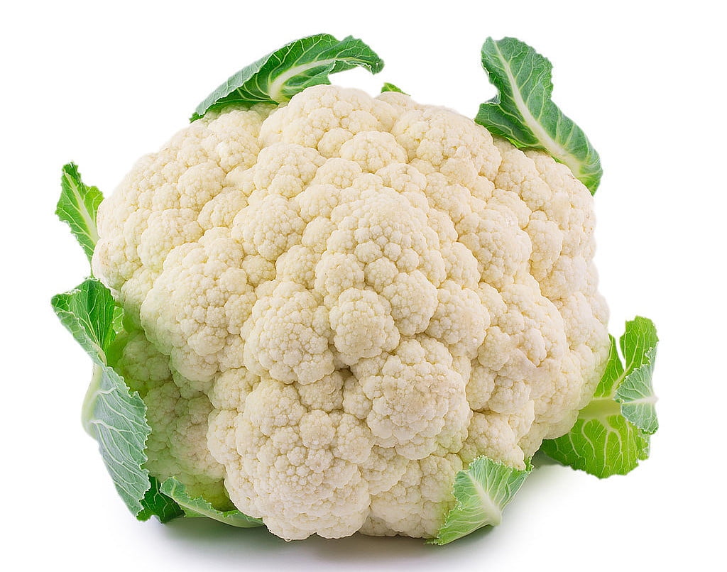 Early Snowball Cauliflower Plant 2.5" Pot Easy to Grow!