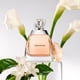 thumbnail image 3 of Perfume Vera Wang Eau de Parfum para mujer, 100 ml, 3 of 5