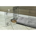 thumbnail image 3 of MidWest Homes for Pets 2 Quart Snap'y Fit Stainless Steel Bowl for Dogs, 8 cups/ 64 oz, 3 of 6