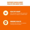 thumbnail image 5 of IAMS Proactive Health Adult Dry Cat Food With Real Salmon, Adult Cat Food Dry, 22 lb., 5 of 10