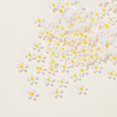 thumbnail image 1 of 100Pcs Flor De Resina No Se Desvanece Puede Usar Para Collar DIY Joyería Hecha A Mano, 1 of 4