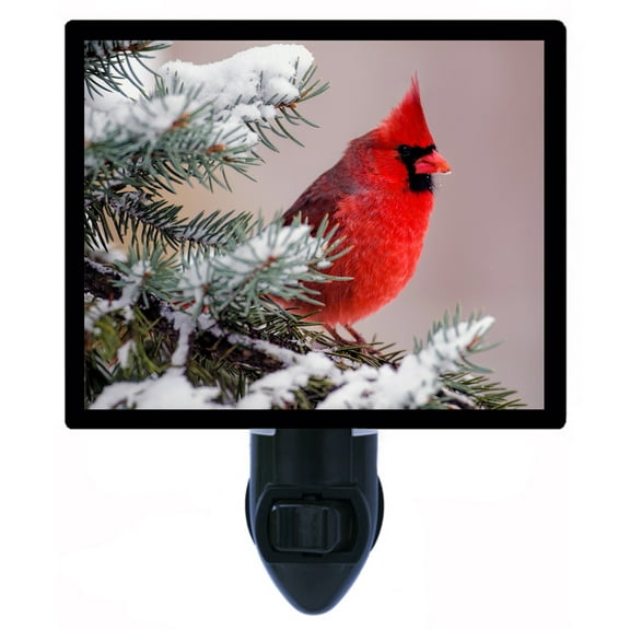 Night Light - Night Light Plus Extra Free Switchable Insert. 4 Watt Bulb, E12 Base. Winter Cardinal.