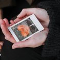 thumbnail image 1 of HONMEET 10 Sheets of Laminating Films for Picture Fade Resistant Displaying Items, 1 of 5