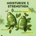 thumbnail image 3 of OGX Hydrating + Tea Tree Mint Shampoo, Nourishing & Invigorating Scalp Shampoo, 3 of 9