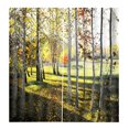 thumbnail image 2 of Paisajes Impreso Cortinas Elegante de Multicolores Duradero - Bosque de cipreses, 65x59 pulgadas Sunnimix Cortinas De Ventana De Baño, 2 of 8