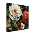 thumbnail image 2 of Trademark Fine Art 'Floral Story IV on Black' Canvas Art by Lisa Audit, 2 of 3
