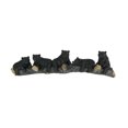thumbnail image 1 of Black Bears on Log Decorative 3 Hook Wall Mounted Rack, 1 of 4