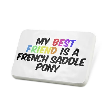 Porcelein Pin My best Friend a French Saddle Pony, Horse Lapel Badge –