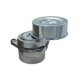 thumbnail image 5 of Tensor De Correa Accesorio 119556N202 Para Rogue Sentra, 5 of 8