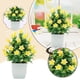 thumbnail image 2 of Plantas artificiales en maceta, arreglos florales artificiales para escritorio, hogar y jarrón decorativo de plástico para salón, dormitorio y baño, 2 of 6