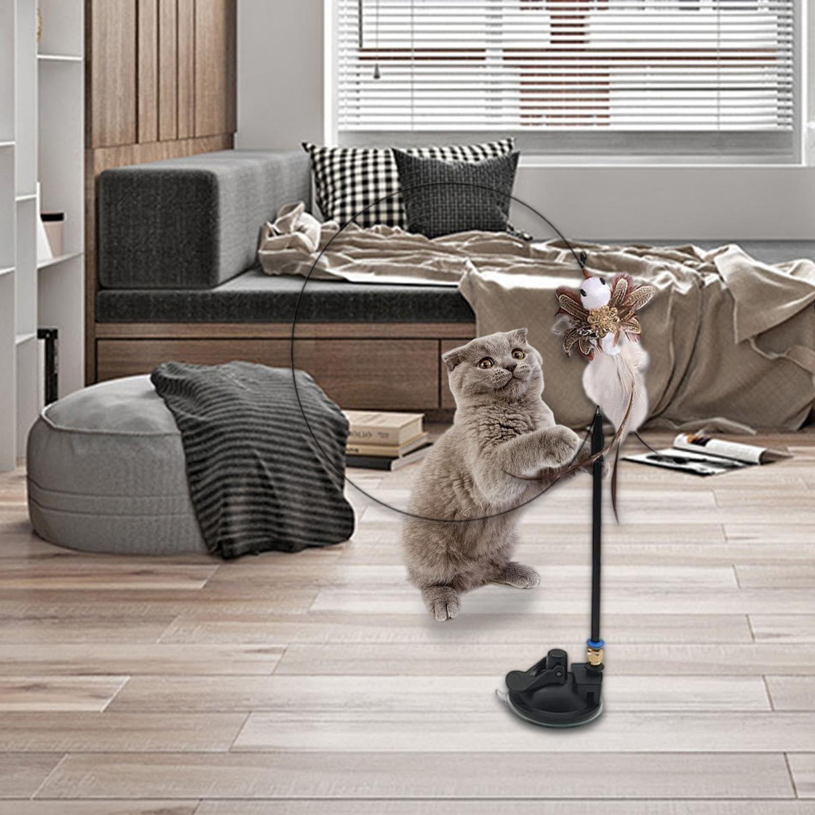 EHJRE 4Pcs Funny Cat Feather Toy Interactive Indoor Kitty Exercise Training Tool