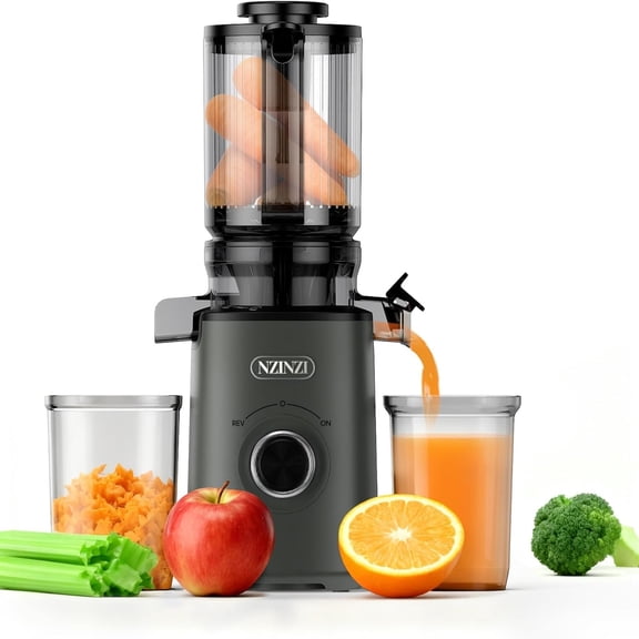 BPA Free Cold Press Juicer, Slow Juicer Machine Easy to Clean, Self-Feeding Masticating Juicer with Large Feed Chute for Whole Fruits and Vegetables, High Juice Yield, Gray