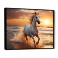 Designart "Wild Horse Freedom's Gallop II" Coastal Framed Wall Art