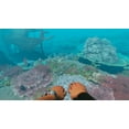 thumbnail image 5 of Stranded Deep, Nintendo Switch, 5 of 10