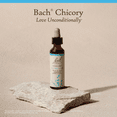thumbnail image 5 of Bach Original Flower Remedies, Chicory - 20 mL Dropper, 5 of 6