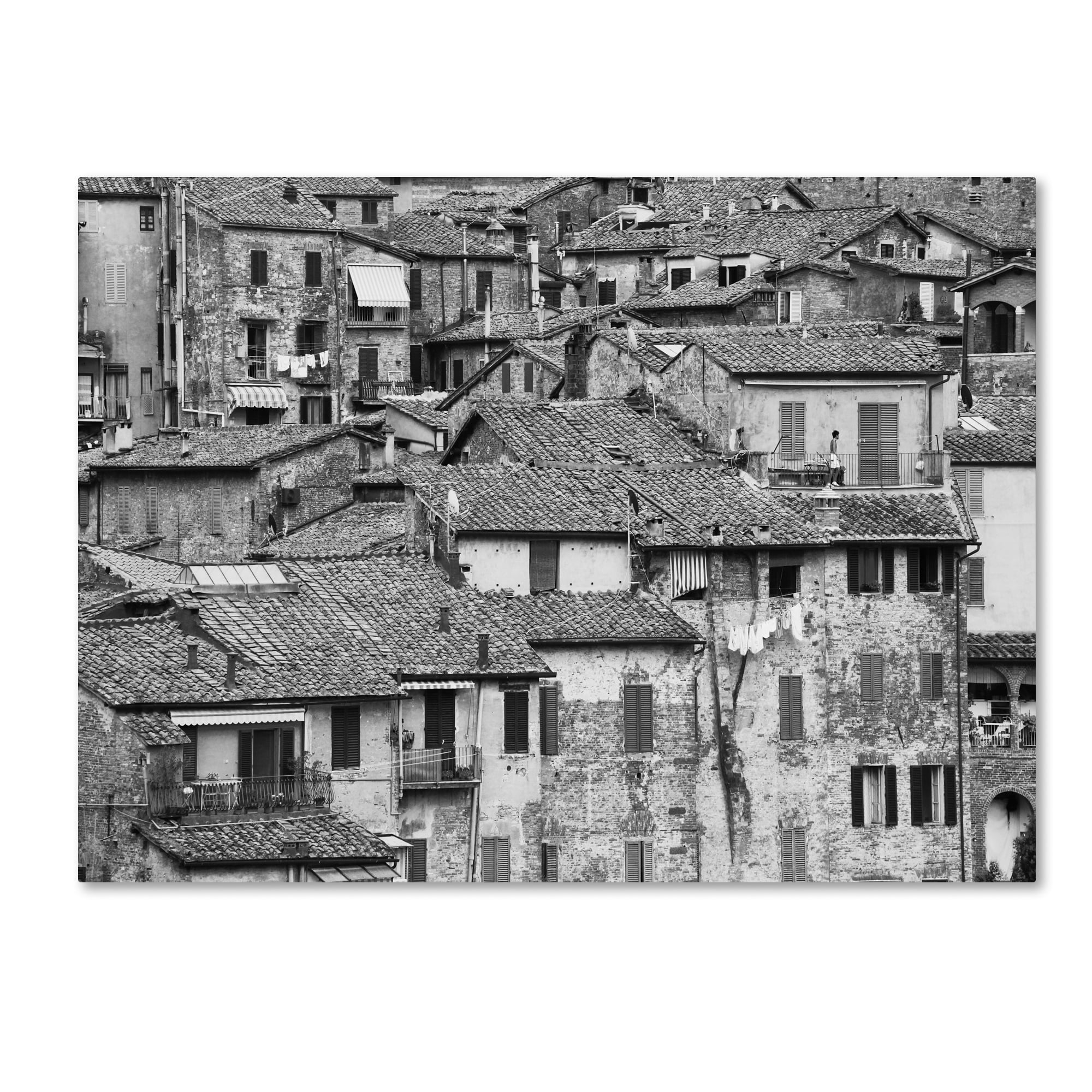 Trademark Fine Art "San Gimignano Texture" Canvas Art by Moises Levy