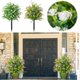thumbnail image 1 of Lekihaqq Artificial Camellia Leaf Simulation Greenery Plant Outdoor Garden Decor Plastic Faux Bonsai Bouquet Home Decoration, 1 of 7
