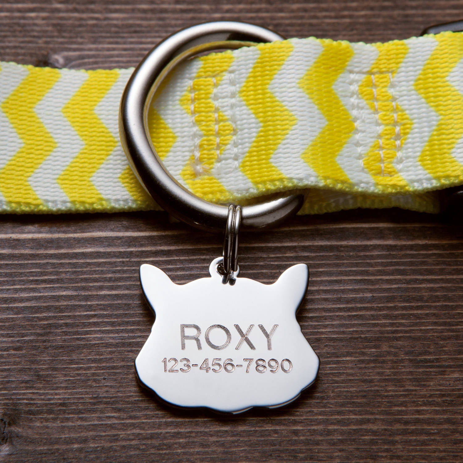Personalized Cat or Dog Key Chain and Charm Set