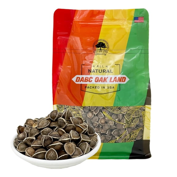 1LB Premium Moringa Seed, 100% Natural Moringa Oleifera, Malunggay, Drumstick Tree Seeds from India Planting, Superfood, Nutritional